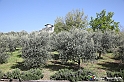VBS_7142 - PressTour educational dedicato ai vini del Pinerolese e all’olio prodotto sulla collina di Pinerolo